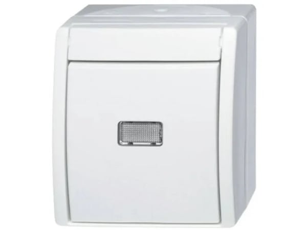ABB 2621 W-54-206, Hallintaelementti, Valkoinen, Termoplastinen, 1P+N, IP44, 74 mm