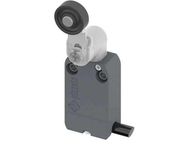 Pizzato Elettrica NF B112KG-DN2 endestopp-bryter 250 V/AC 4 A rulle svingarm, IP67, 1 stk