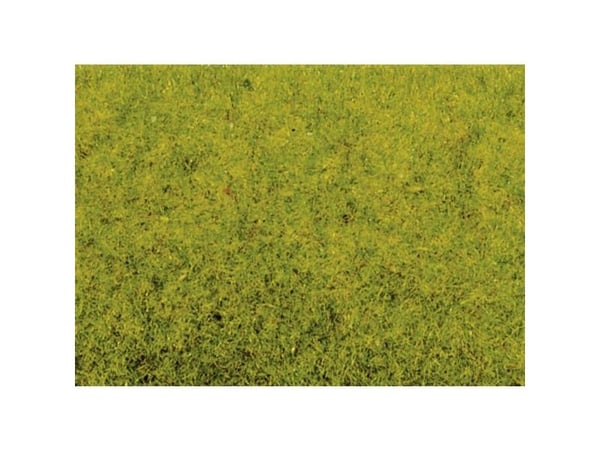 NOCH Scatter Grass “Spring Meadow”, Grønn