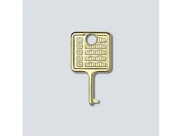 SIEDLE 210007018-00 nøkkel for informasjonsmodul IM 511- (210007018-00)