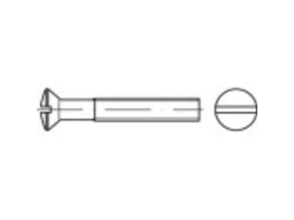 TOOLCRAFT TO-5384463 senkehode linseskruer M6 45 mm spor DIN 964 stål galvanisert 200 stk