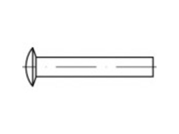 TOOLCRAFT 112343 nagler med forsænket/linsehode Ø x L 4 mm x 12 mm stål (1000 stk.)