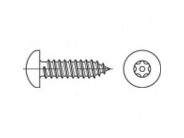 TOOLCRAFT TO-5380143 sikkerhetsskruer 6,3 mm 50 mm innvendig sekskant 88114 rustfritt stål A2, 100 stk
