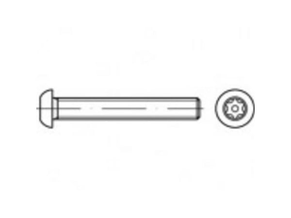TOOLCRAFT TO-5380203 sikkerhetsskruer M5 35 mm innvendig sekskant 88116 rustfritt stål A2 100 stk