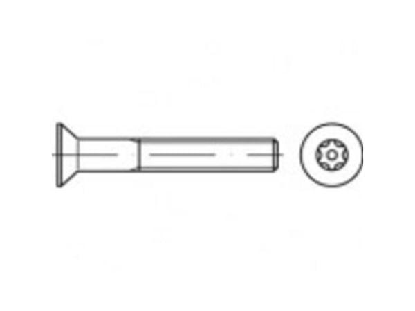 TOOLCRAFT TO-5380326 sikkerhetsskruer M8 16 mm innvendig sekskant rustfritt stål A2 100 stk