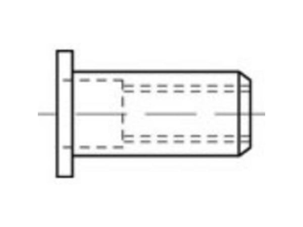 TOOLCRAFT TO-5380476 Blindnaglemutter M6 Rustfritt stål 250 stk