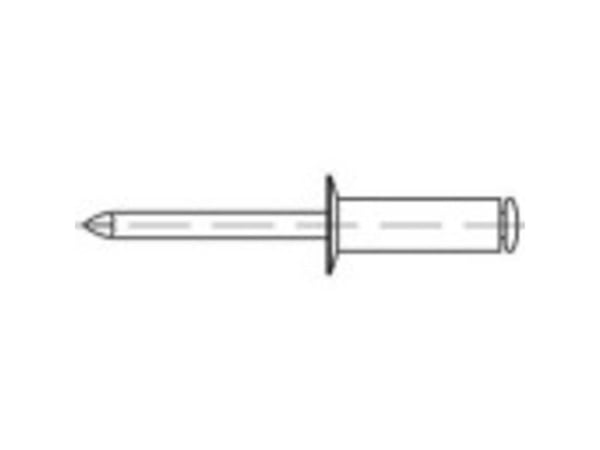 TOOLCRAFT 1070270 Åpen blindnagle (Ø x L) 5 mm x 10 mm Rustfritt stål 500 stk