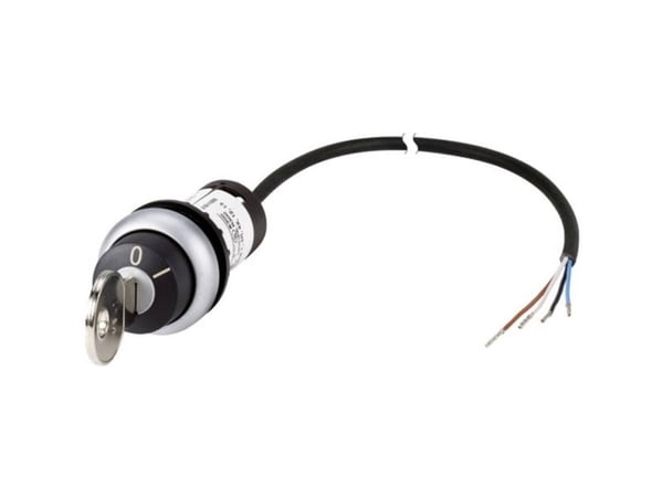 Eaton C22-WRS-MS1-K10-P62, Avain, Monivärinen, Muovi, 1 kpl
