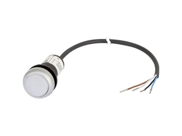 Eaton C22-DL-W-K10-24-P62 Painonappi litteä valkoinen 1 kpl