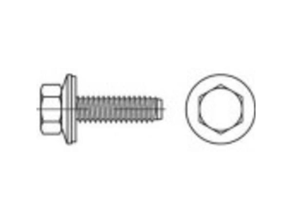 TOOLCRAFT 1070014 fasadeskrue 6,3 mm 115 mm utvendig sekskant 88276 rustfritt stål A2 100 stk