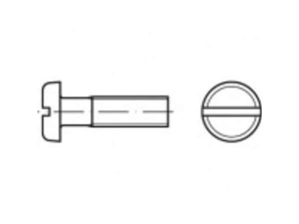 TOOLCRAFT TO-5391252 flathode rundskruer M8 12 mm spor stål galvanisert 100 stk