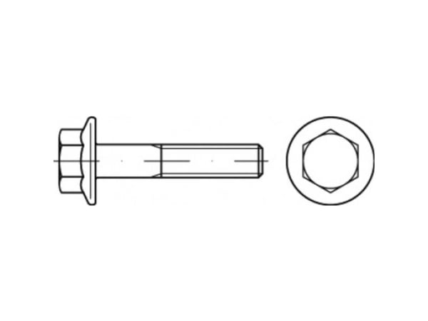 TOOLCRAFT TO-5391717 sekskantskrue M12 30 mm utvendig sekskant stål galvanisert (100 stk.)