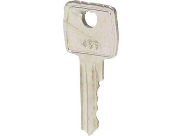 AVAIN 455 (2 KPL)
