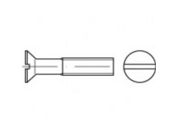 TOOLCRAFT TO-5361402 forsænkede skruer M3 5 mm sporskrue rustfritt stål A4 1000 stk