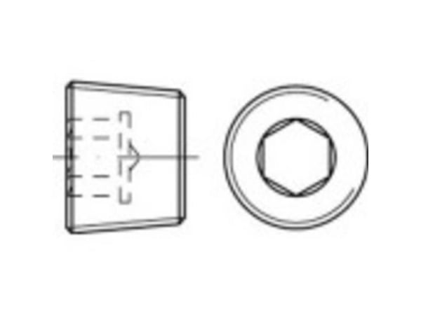TOOLCRAFT 1061742 låseskruer 1/4" innvendig sekskant DIN 906 rustfritt stål A4 50 stk