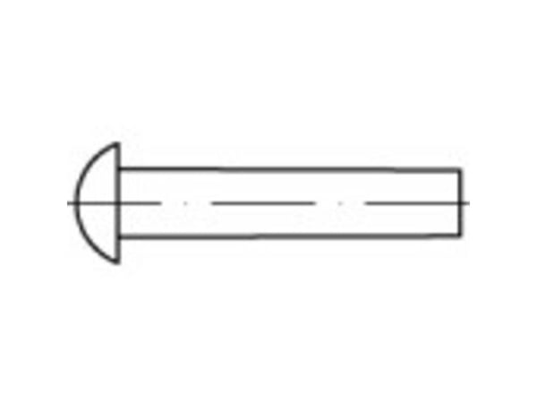 TOOLCRAFT 1061624 halv-rund nagle (Ø x L) 4 mm x 5 mm rustfritt stål 100 stk