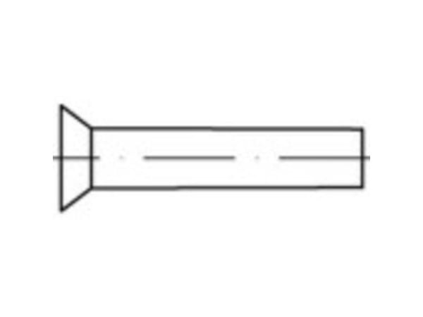 TOOLCRAFT 1061659 senknitte (Ø x L) 4 mm x 16 mm rustfritt stål 100 stk