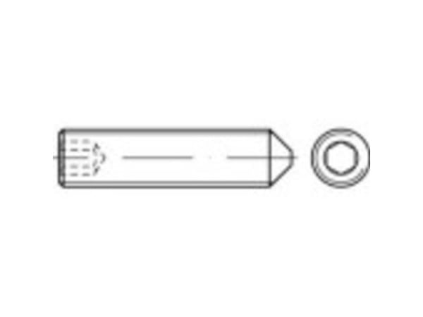 TOOLCRAFT 118256 pinolskrue M20 60 mm stål, galvanisert, 25 stk