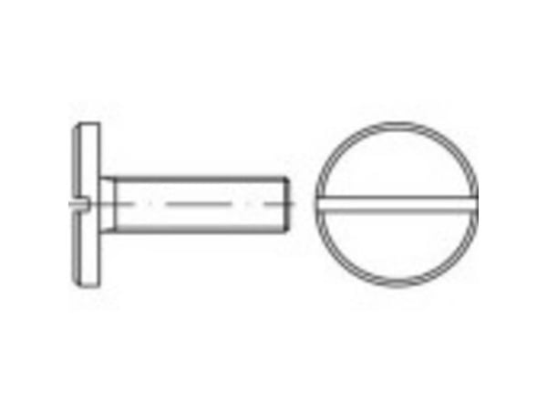 TOOLCRAFT 1063102 skruer med flatt hode M8 20 mm spor DIN 921 rustfritt stål 50 stk.