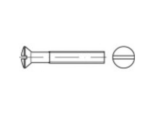 TOOLCRAFT forsænkede linsehodeskruer M8 16 mm spor DIN 964 rustfritt stål A4 50 stk