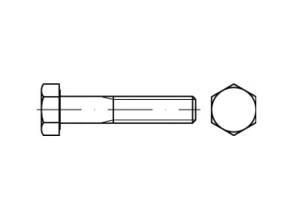 TOOLCRAFT TO-5443023 unbrakoskruer utvendig sekskant 50 mm 57 mm stål 50 stk