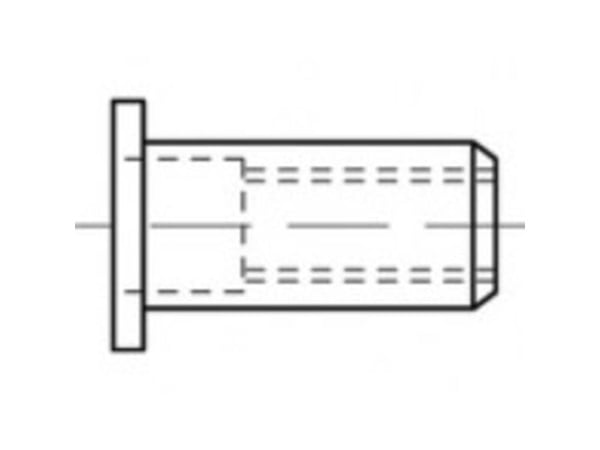 TOOLCRAFT TO-5444343 Blindnaglemutter M4 Stål 500 stk