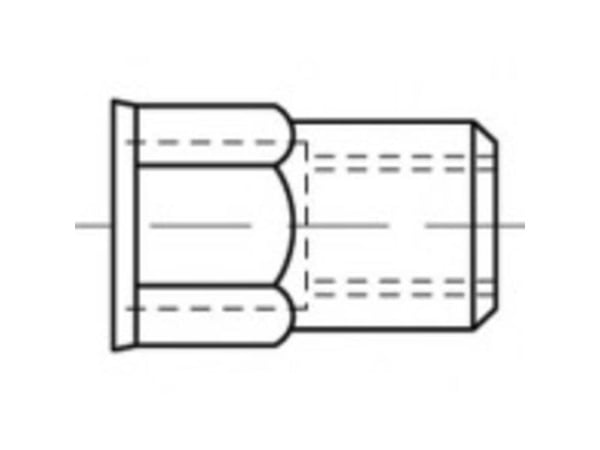 TOOLCRAFT TO-5444337 Blindnittemøtrik M6 Stål 250 stk