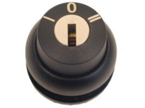 Eaton 216895 M22S-WS3 Avaimenperä Eturengas muovinen avain Musta 1 kpl