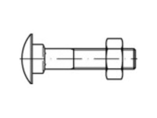 TOOLCRAFT TO-5448321 runde, flate skruer M8 60 mm firkant DIN 603 messing, 50 stk