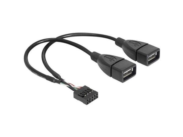 Delock - Intern-til-ekstern USB-kabel - USB (hunn) til 9-pins USB-header (hunn) - 20 cm