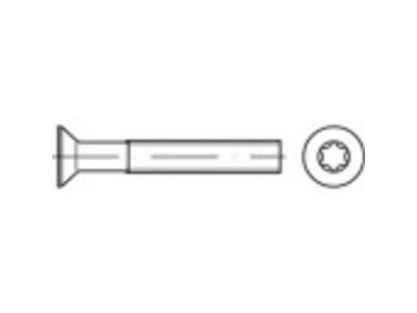 TOOLCRAFT 1066301 senkeskruer M5 10 mm T-profil DIN 965 rustfritt stål A4 500 stk