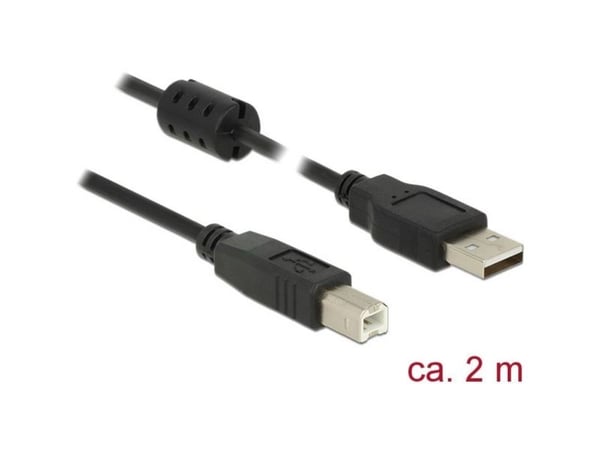 Delock - USB-kabel - USB (hann) til USB-type B (hann) - USB 2.0 - 2 m - svart