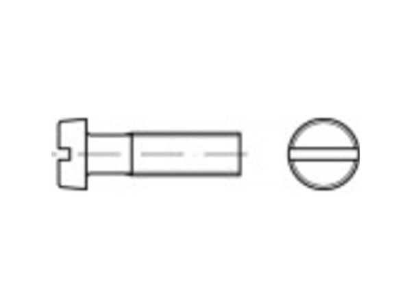 TOOLCRAFT TO-5445036 sylinderskrue M2,5 3 mm spor DIN 84 messing 200 stk