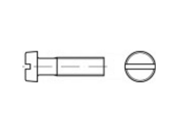 TOOLCRAFT TO-5445042 sylinderskruer M2,5 5 mm spor DIN 84 messing 200 stk