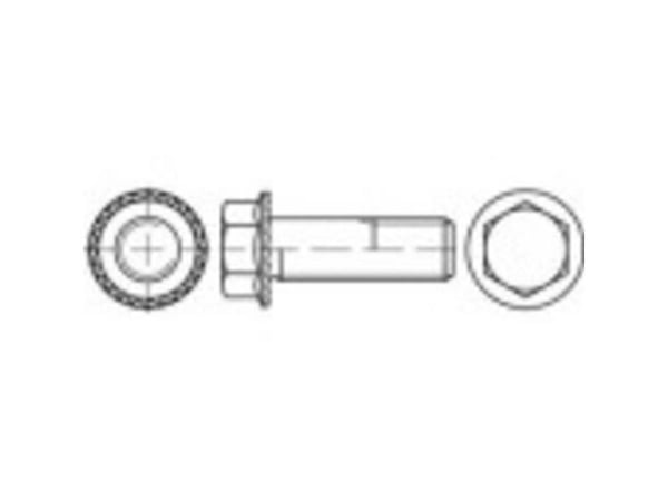 TOOLCRAFT 161424 låseskruer M6 16 mm utvendig sekskant stål galvanisert 500 stk