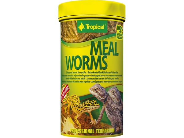 Tropical MEAL WORMS 250 ml boks