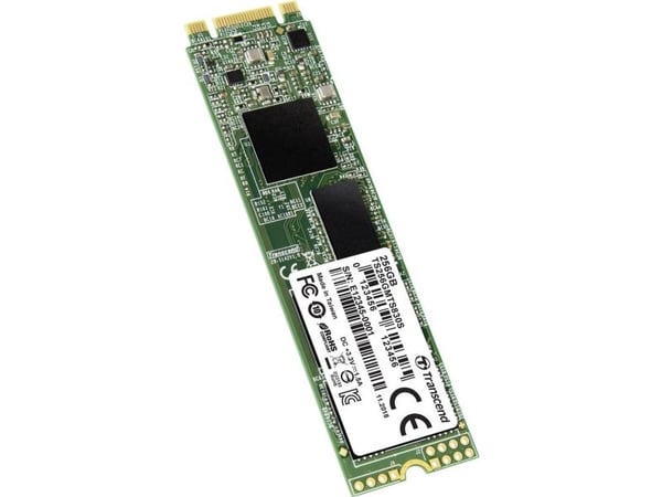 Transcend MTS830S - SSD - 256 GB - intern - M.2 2280 - SATA 6Gb/s