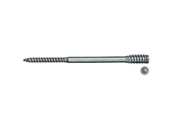 Fischer 59062, Ruuvi, Sinkkipinnoitettu teräs, Puu, Sinkki, Torx, TX25