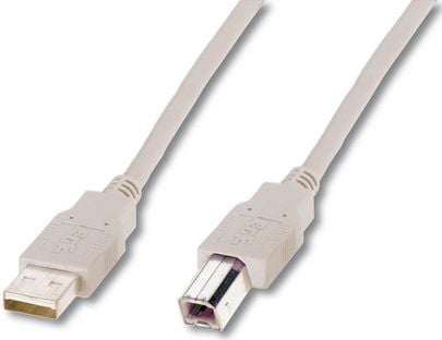ASSMANN - USB-kaapeli - USB (uros) - USB Type B (uros) - USB 2.0 - 1,8 m - muotoiltu - beige