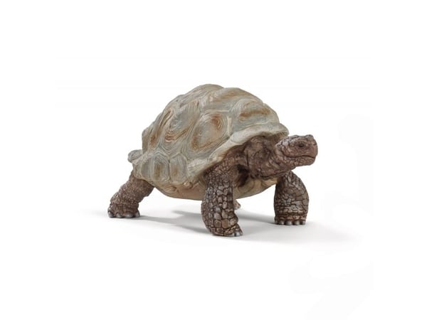 Schleich Wild Life - Giant tortoise