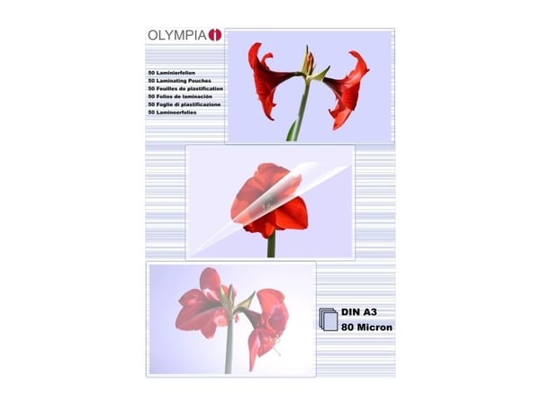 Olympia 1x25 DIN A3 80 micron, Transparent, A3, 25 styck