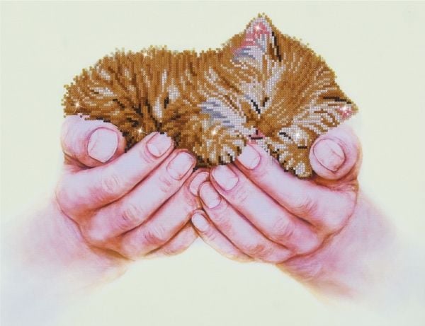 Diamond Dotz 52 x 40 cm - Kattekilling
