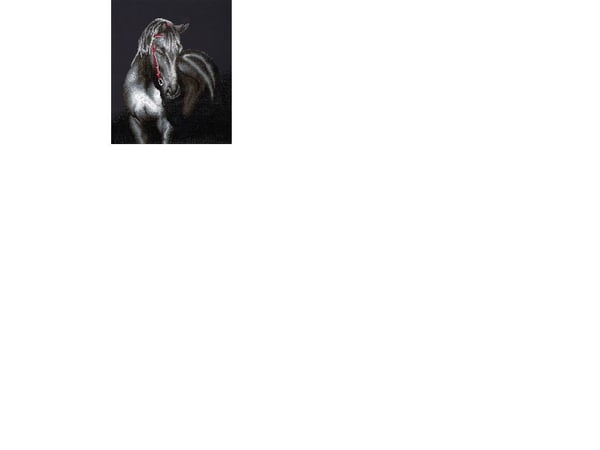Diamond Dotz 53 x 42 cm - Midnight Stallion Hest
