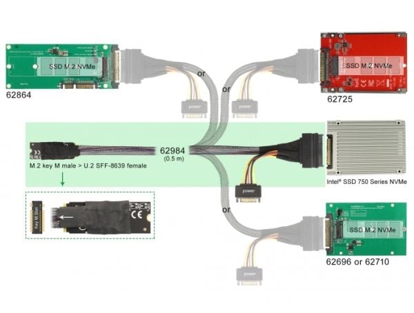 Delock - Grensesnittsadapter - 2.5", M.2 - NVMe PCIe - U.2