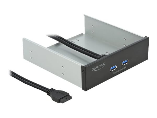Delock - Portpanel till lagringsfack - USB 3.2 Gen 1 x 2 - svart