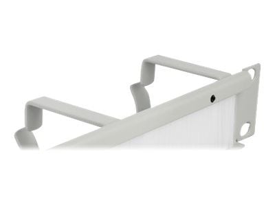 Delock Cable Management Brush Strip with 3 hooks - Styringspanel for rackkabler med børste - grå - 1U - 10"
