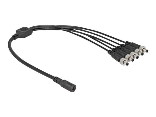 Delock - Strøm-splitter - DC jackstik 5,5 x 2,1 mm (hun) til DC jackstik 5,5 x 2,1 mm (han) kan skrues - 30 V - 2 A - 50 cm - lajittelu