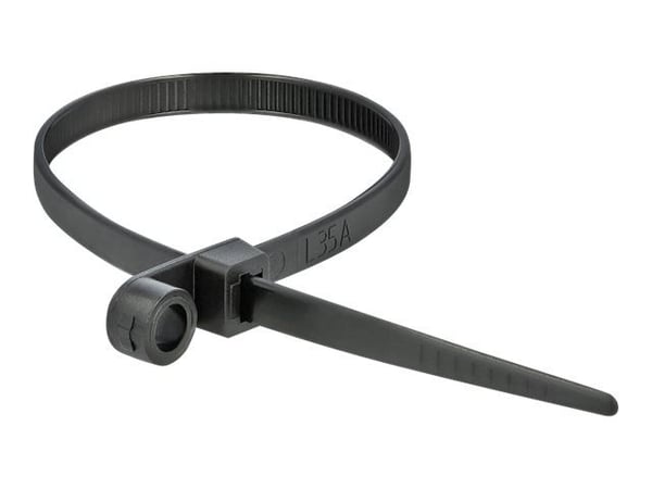 DeLOCK 18951, Kaksiaukkoinen johdinside, Polyamidi, Musta, -40 - 85 °C, 30 cm, 4,8 mm