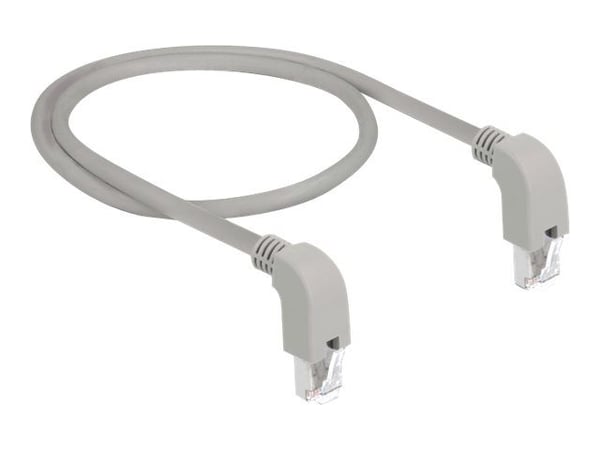 Delock - Patchkabel - RJ-45 (han) nedvinklet til RJ-45 (han) nedvinklet - 2 m - SF/UTP - CAT 5e - halogenfri - grå