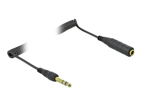 DeLOCK 85938, 6.35mm, Uros, 6.35mm, Naaras, 2 m, Musta